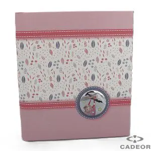 Álbum Coleção Cegonha