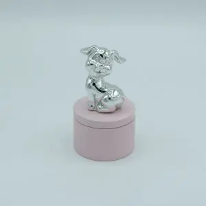 Caixa 1º Dente Cão