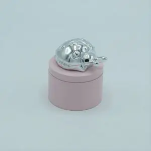 Caixa 1º Dente Joaninha