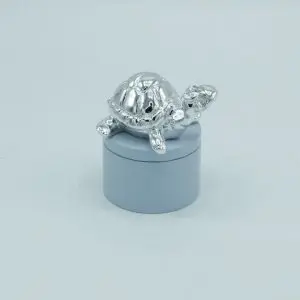 Caixa 1º Dente Tartaruga