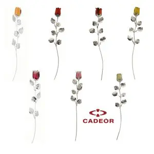 Conjunto de 14 Rosas