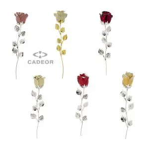 Conjunto de 12 Rosas