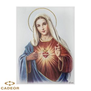 Placa Sagrado Coração de Maria